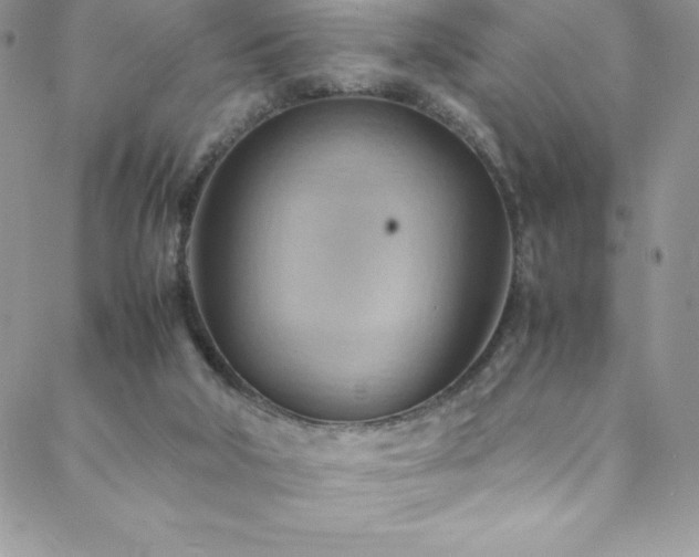 X0000088600018200705251225