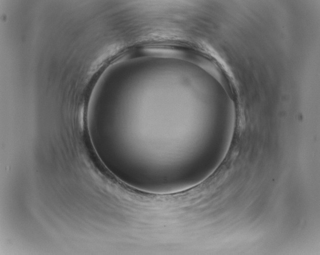 X0000088600019200705251225