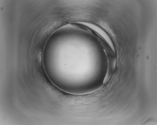 X0000088600021200705251225