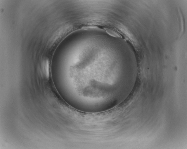 X0000088600022200705251225