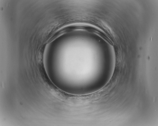 X0000088600025200705251225