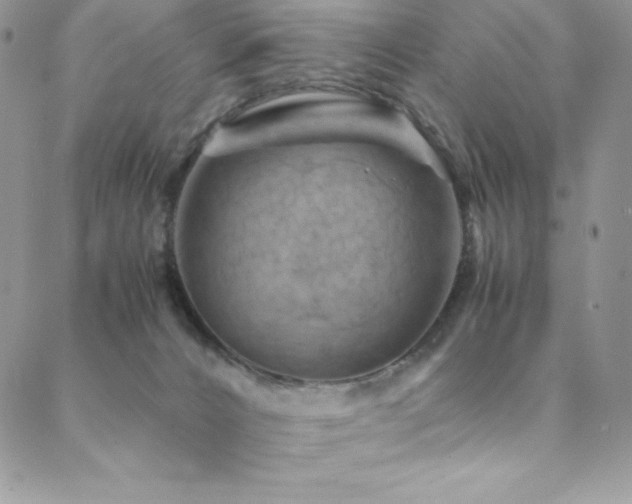 X0000088600032200705251225