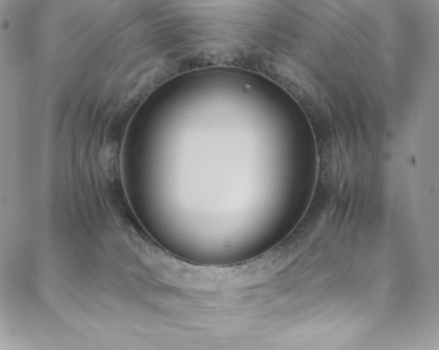 X0000088600034200705251225