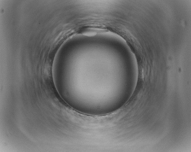 X0000088600035200705251225