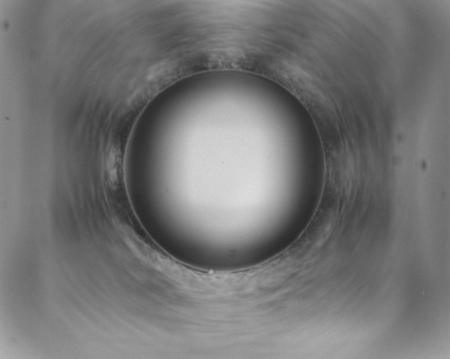 X0000088600038200705251225