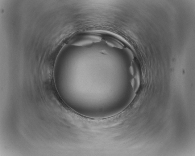 X0000088600039200705251225