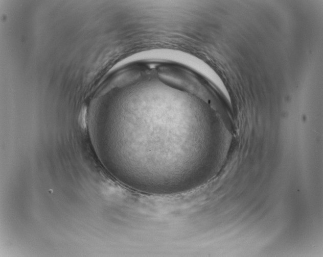 X0000088600041200705251225