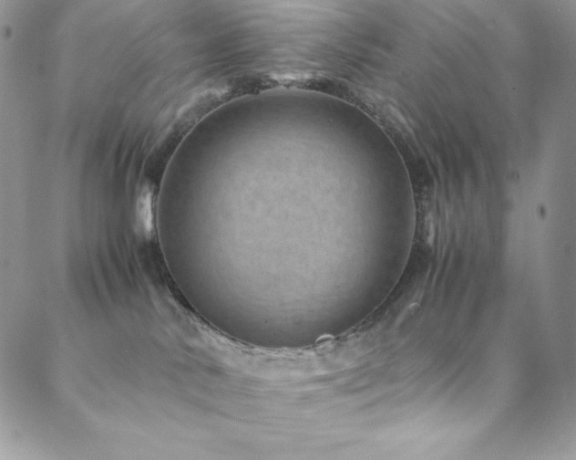 X0000088600042200705251225