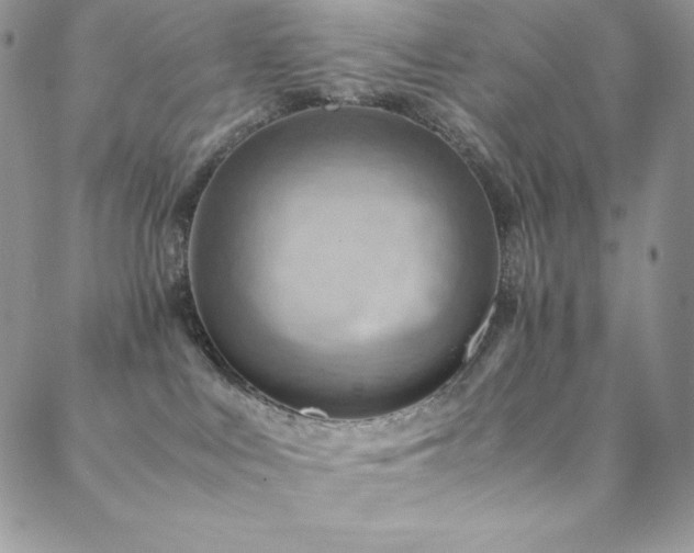 X0000088600043200705251225