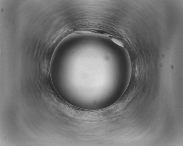 X0000088600044200705251225