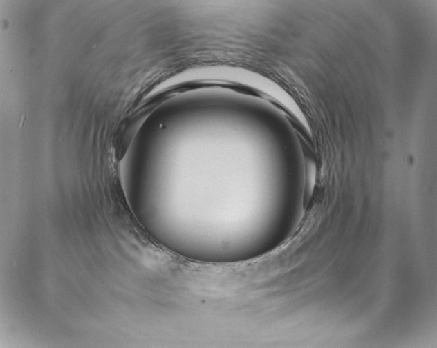 X0000088600045200705251225