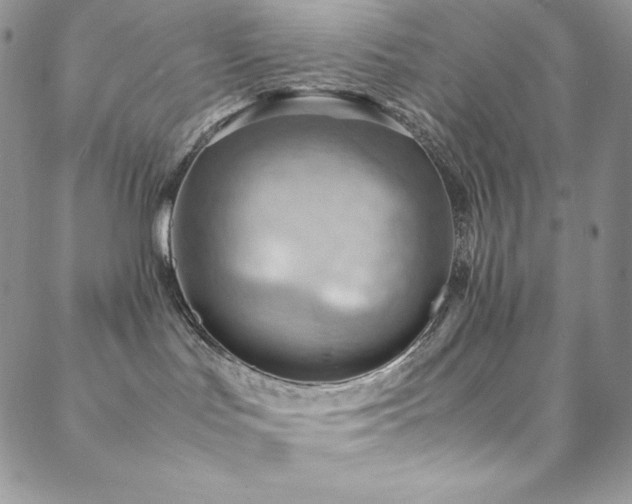 X0000088600047200705251225