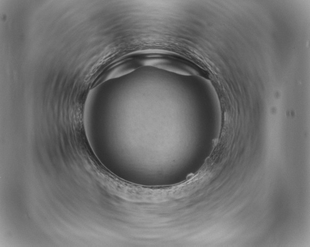 X0000088600048200705251225