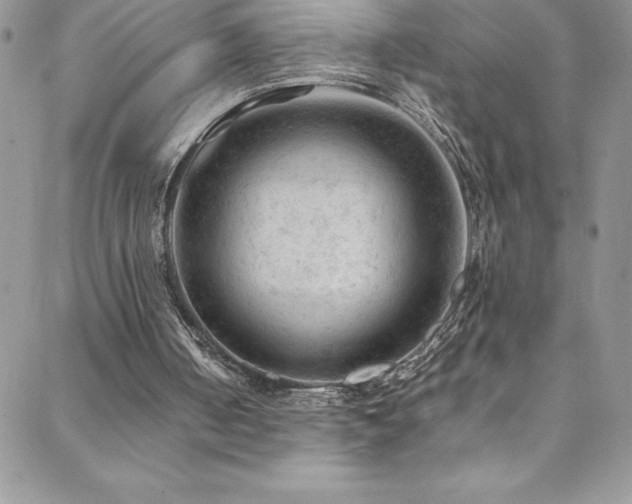 X0000088600050200705251224