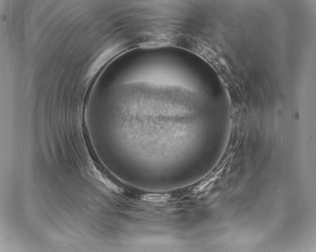 X0000088600051200705251224