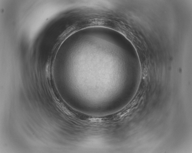 X0000088600052200705251224