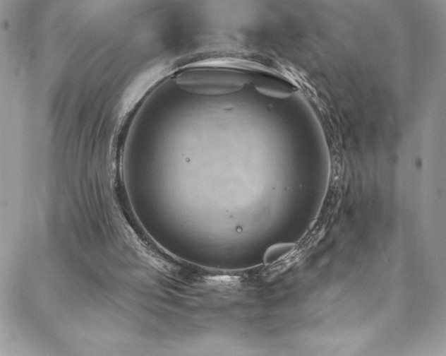 X0000088600053200705251224