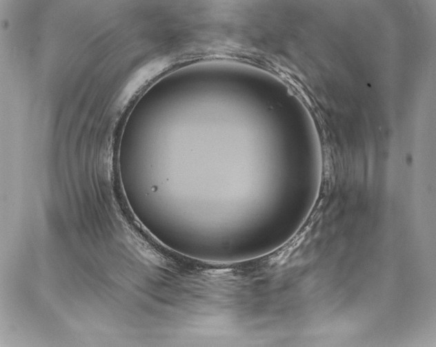 X0000088600054200705251224