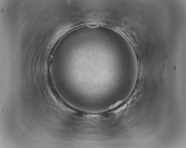 X0000088600055200705251224