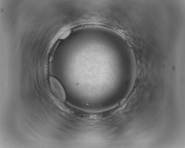 X0000088600056200705251224