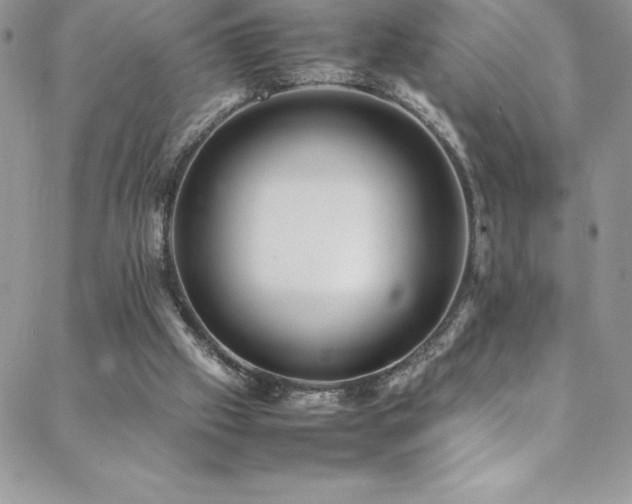 X0000088600057200705251224