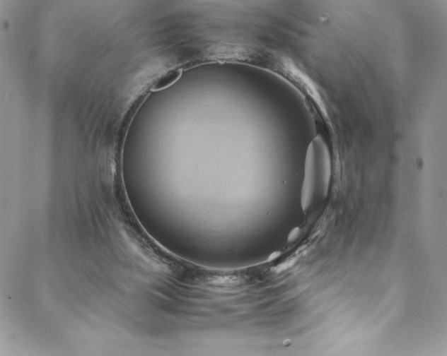 X0000088600059200705251224