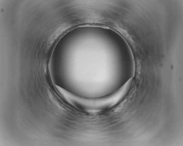 X0000088600060200705251224