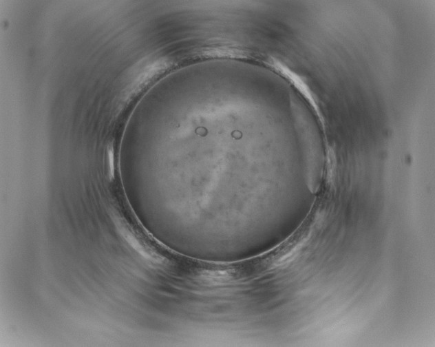 X0000088600061200705251224