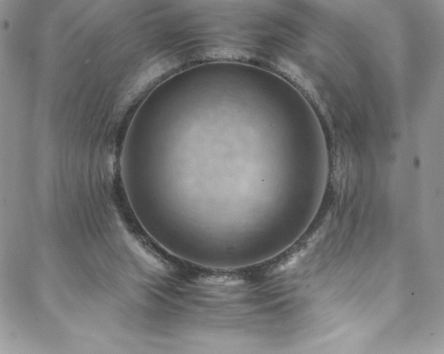 X0000088600063200705251224