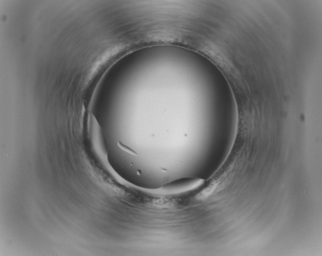 X0000088600064200705251224