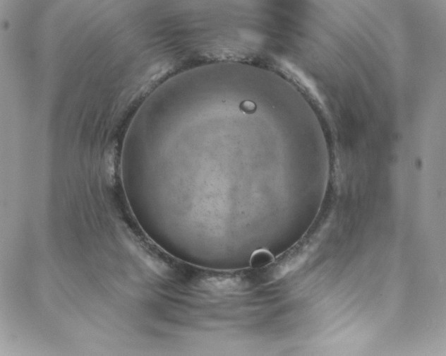 X0000088600065200705251224