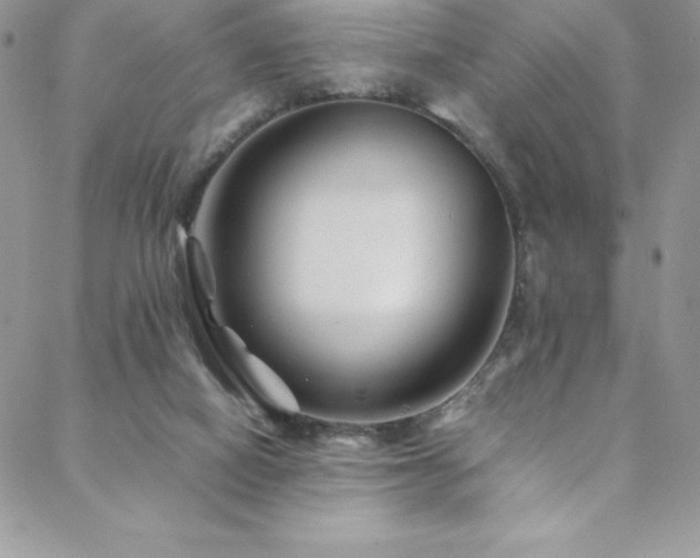 X0000088600066200705251224