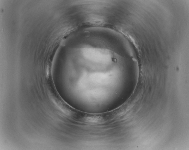 X0000088600069200705251224