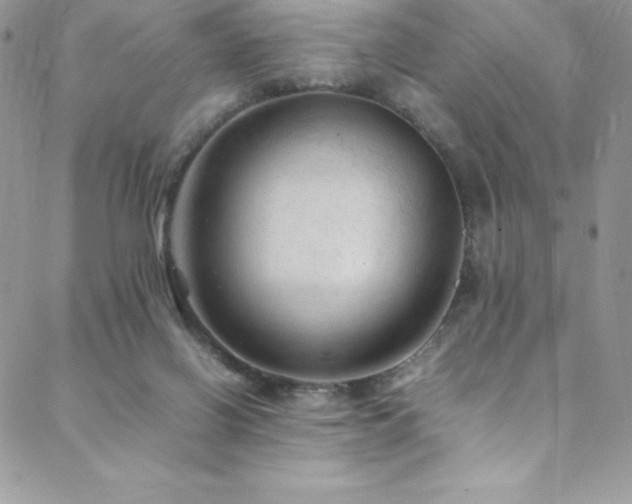 X0000088600070200705251224