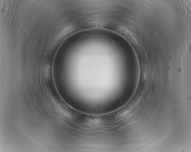 X0000088600071200705251224