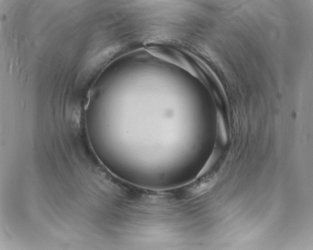 X0000088600072200705251224