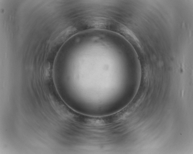 X0000088600073200705251224