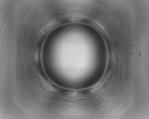 X0000088600074200705251224