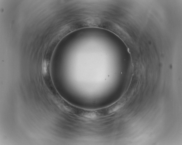 X0000088600075200705251224