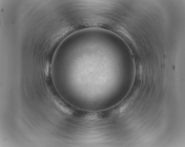 X0000088600076200705251224