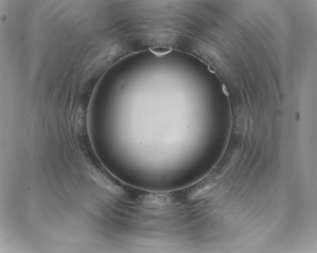 X0000088600077200705251224