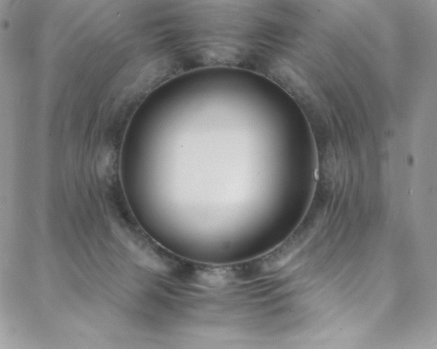 X0000088600079200705251225