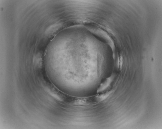 X0000088600080200705251225