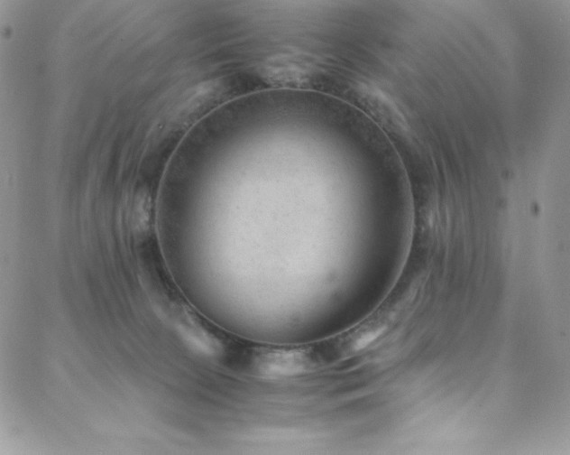 X0000088600081200705251225