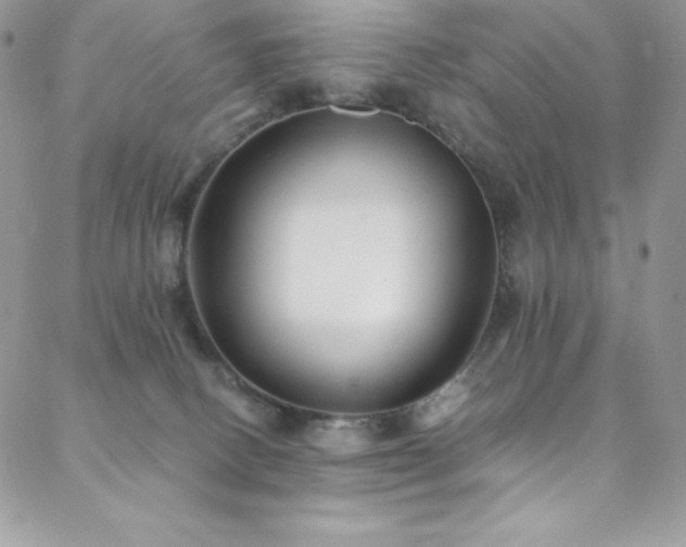 X0000088600082200705251225