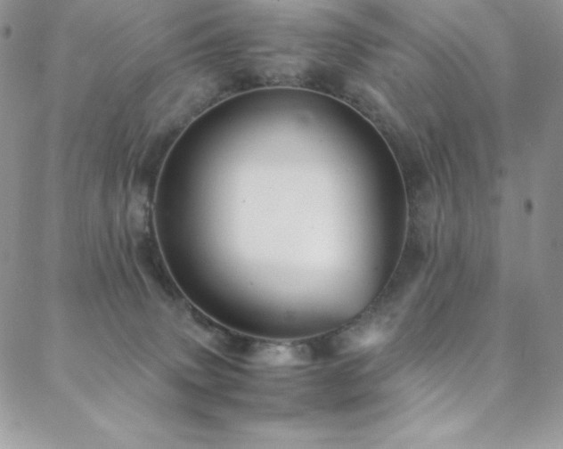 X0000088600083200705251225