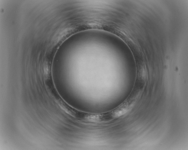 X0000088600084200705251225