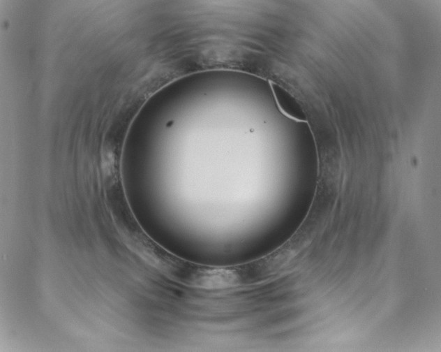 X0000088600087200705251225