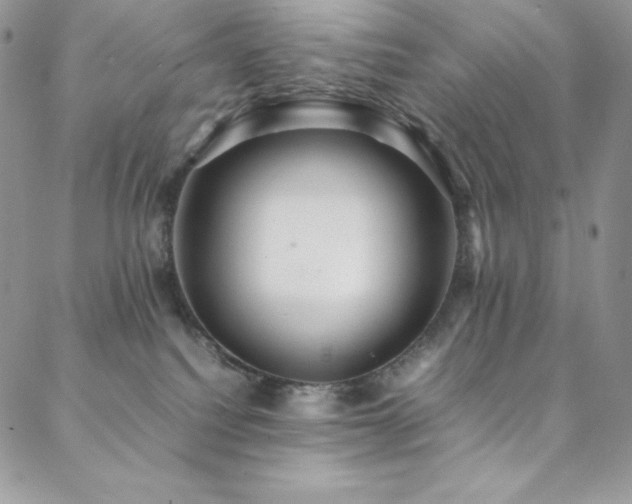 X0000088600088200705251225