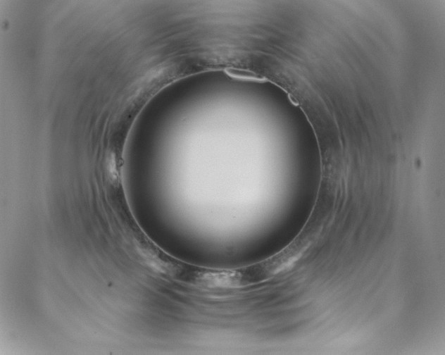 X0000088600089200705251225